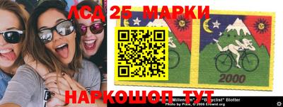 индика Кулебаки