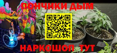 индика Кулебаки