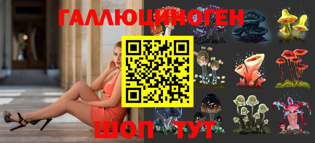 Псилоцибиновые грибы GOLDEN TEACHER Кисловодск
