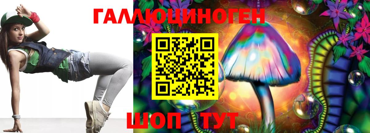 Галлюциногенные грибы Psilocybe  Вход с VPN  Кисловодск 